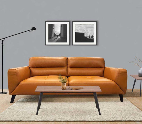 Leather Lounge 2+3 Seater image 0
