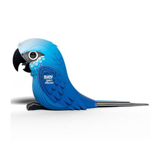 Eugy -Spix's Macaw image 0