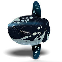 Eugy - Ocean Sunfish - 3D Model Kit image 0