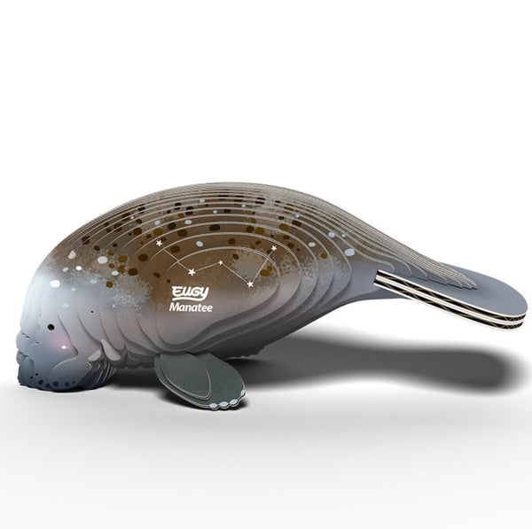 Eugy - Manatee image 0