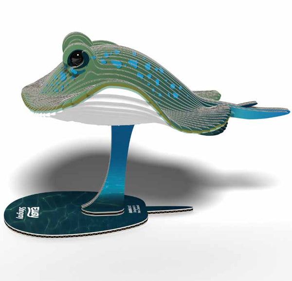 Eugy - Stingray image 0