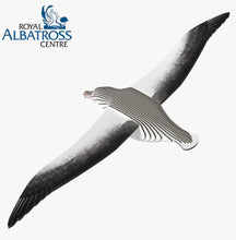 EUGY Royal Albatross 3D Paper Puzzle