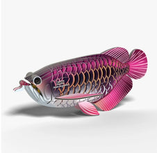 EUGY Asian Arowana 3D Paper Puzzle
