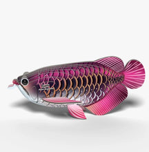 EUGY Asian Arowana 3D Paper Puzzle