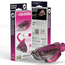 EUGY Asian Arowana 3D Paper Puzzle