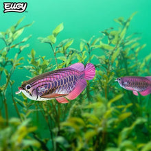 EUGY Asian Arowana 3D Paper Puzzle