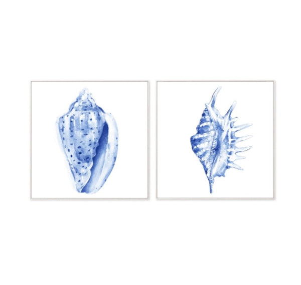 Shells Framed Art Set image 0