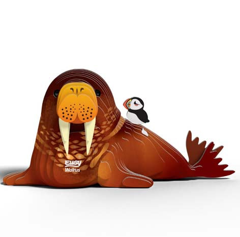 Eugy - Walrus image 0