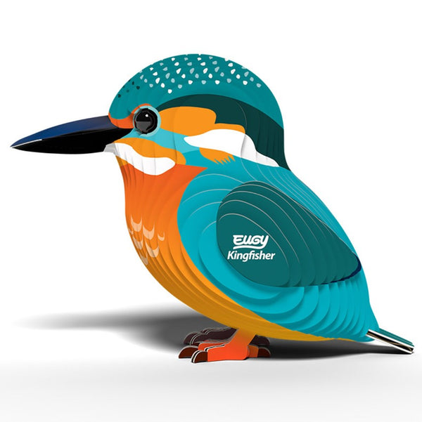 Eugy - Kingfisher image 0