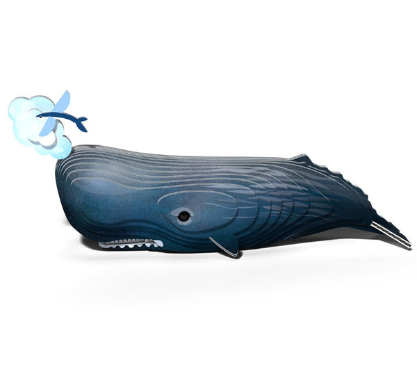 Eugy - Sperm Whale image 0
