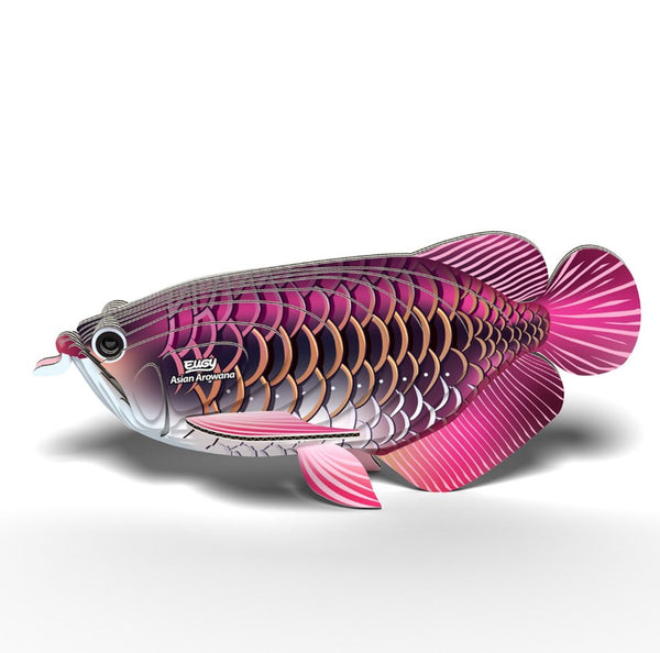 Eugy - Asian Arowana 3D Model Kit image 0